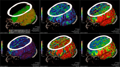 Breites Spektrum der modernen Schnittbilddiagnostik