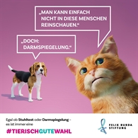 Felix Burda Stiftung