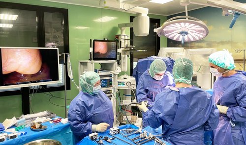 Erste robotergestützte Operation in der Allgemein- und Viszeralchirurgie:  Fundoplikatio (Antirefluxplastik) mit Versorgung der Zwerchfellhernie  bei einer Hiatusgleithernie mit 1/3 Magen im Thorax