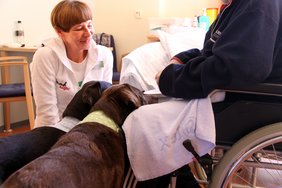 <p>Emma und Sissi nehmen sofort Kontakt mit dem Patienten auf.<strong> </strong></p>